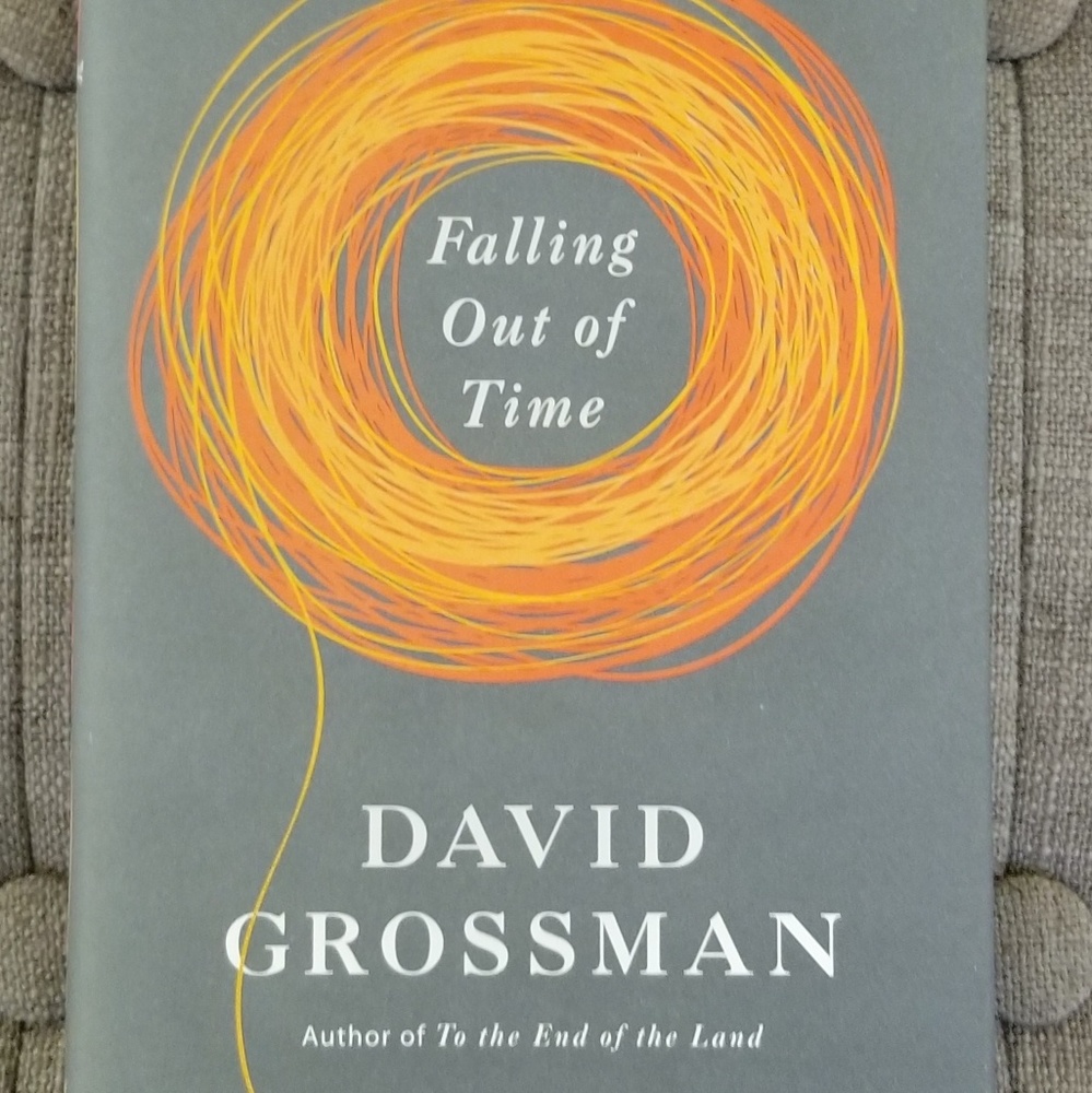 Book Falling out of time. Hard cover